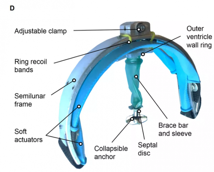 这个机器人可以通过轻轻挤压帮助保持猪心跳动