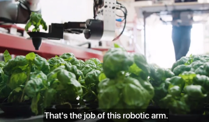 自主种蔬菜、无损摘水果，市场已经把人类的食物供应交给机器人了