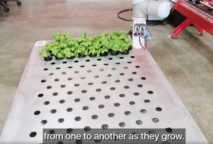 自主种蔬菜、无损摘水果，市场已经把人类的食物供应交给机器人了