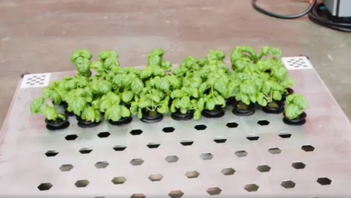 自主种蔬菜、无损摘水果，市场已经把人类的食物供应交给机器人了