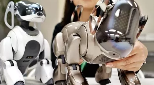 如果你养了一只可爱的机器宠物狗，你会对它产生感情么？