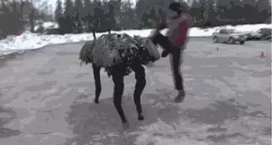 只能把YouTube当主场的波士顿动力，究竟为何被隔绝在现实之外？