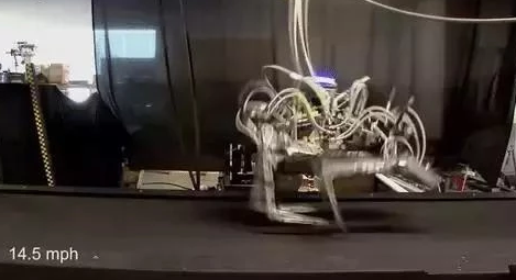 只能把YouTube当主场的波士顿动力，究竟为何被隔绝在现实之外？