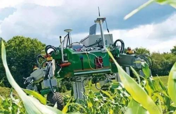 探索未来农业模式农业机器人“领风骚”