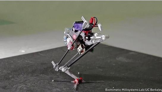 美国正开展杀戮机器人研究，将实现无人机群协同作战