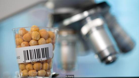 他们用AI和食用植物创造&ldquo;人工肉食&rdquo;，你想尝尝吗？