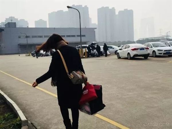 日东电工,国际巨头,龙头企业,苏州