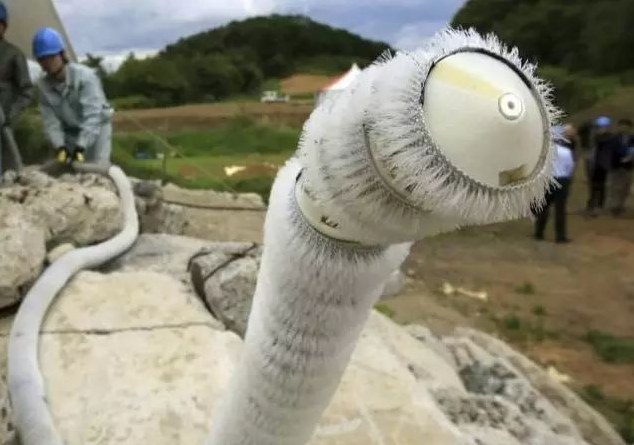 科学家揭开蛇&ldquo;直线运动&rdquo;奥秘，将助力研发搜救机器人