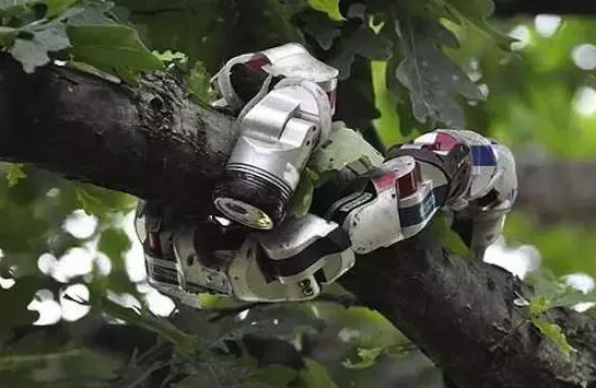 无人驾驶挺火,隔壁的机器蛇怎么样了?