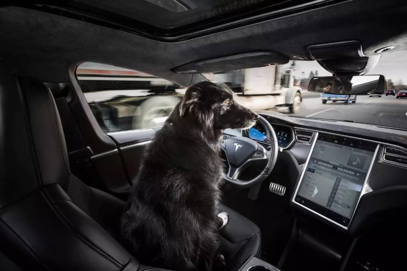 机器人也考驾照，北京自动驾驶车辆考试大纲公布