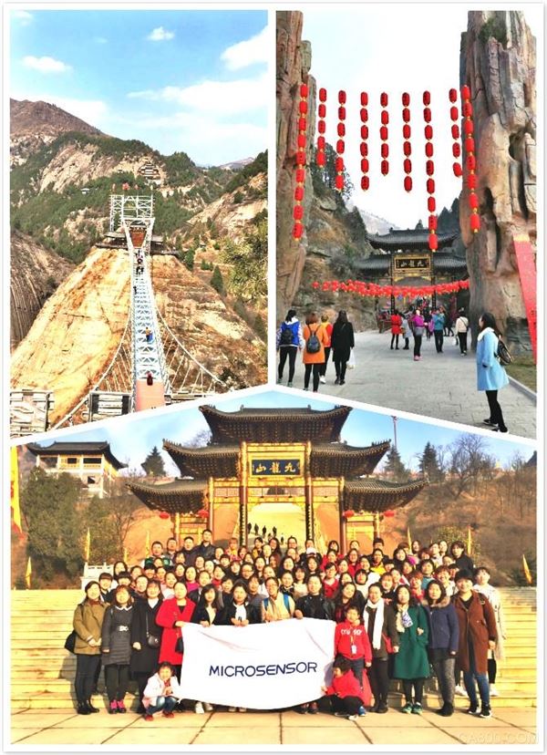 麦克传感,郊游观灯活动