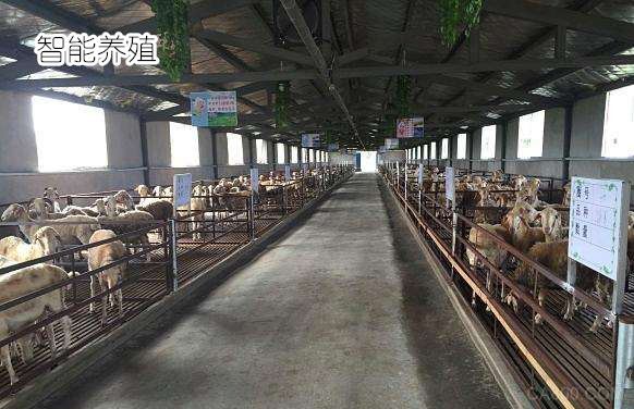 智能养殖,畜禽监测监控系统,智能控制硬件,嵌入式工控机