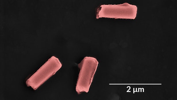 antibacterial-nanorobots-blood-1.jpg