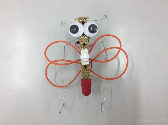 魏德米勒,联接,社会活动
